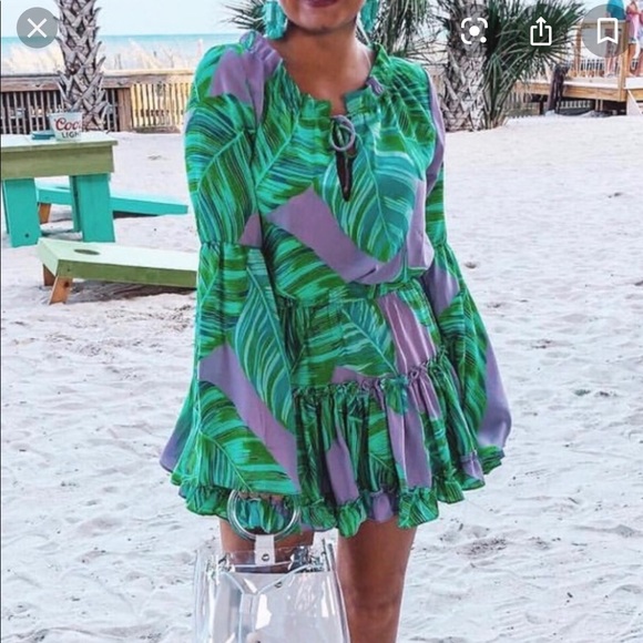 Buddy Love Ruffle Mini Dress - Picture 2 of 2